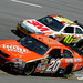 Matthew Gibbs Photo 34