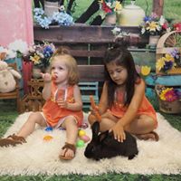 Vanessa Collins Photo 19