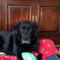 Debra Nevins Photo 6