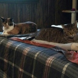 Suzanne Donovan Photo 8 Suzanne Donovan Photo 8