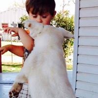 Debbie Sandlin Photo 5