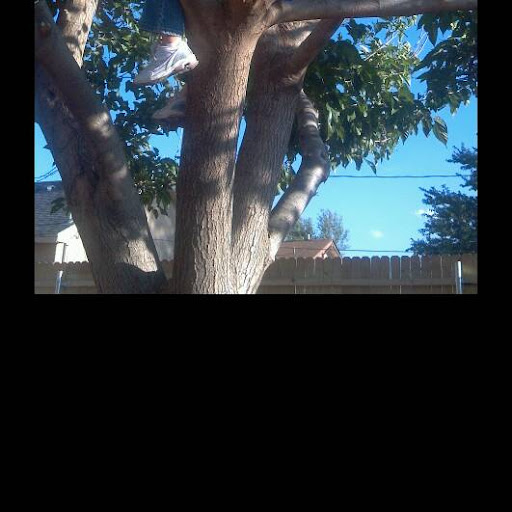 David Hunt Photo 39 David Hunt Photo 39