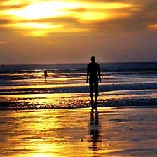 Stephen Grimes Photo 46