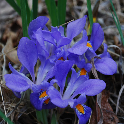 Donna Maness Photo 9