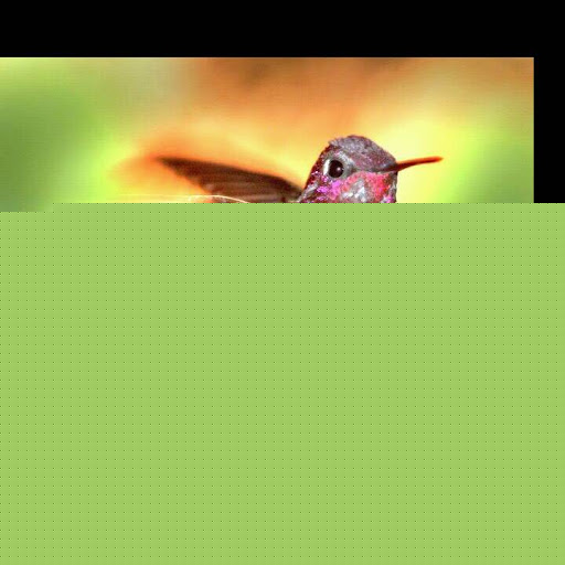 Irene Cordova Photo 27