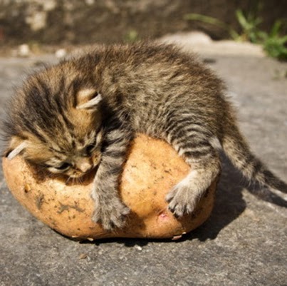 Jay Nichols Photo 34 Jay Nichols Photo 34