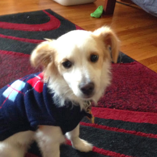 Michelle Carrillo Photo 36