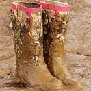 Sheree Collins Photo 4