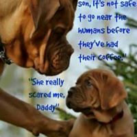 Tammy Driggers Photo 20