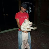 Peter Vega Photo 21