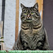Amy Grau Photo 9
