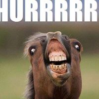 Aaron Ingram Photo 43