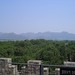 Ling Ding Photo 30