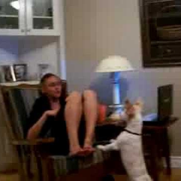 Julie Allaire Photo 6