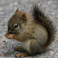 Geraldine Browne Photo 7