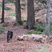 Leo Stratton Photo 9