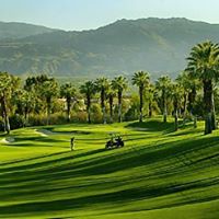 Teresa Mcgrath Photo 23