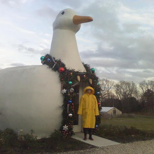 Barbara Gibson Photo 15 Barbara Gibson Photo 15