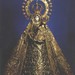 Jose Rosario Photo 41