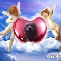 Julie Strock Photo 4