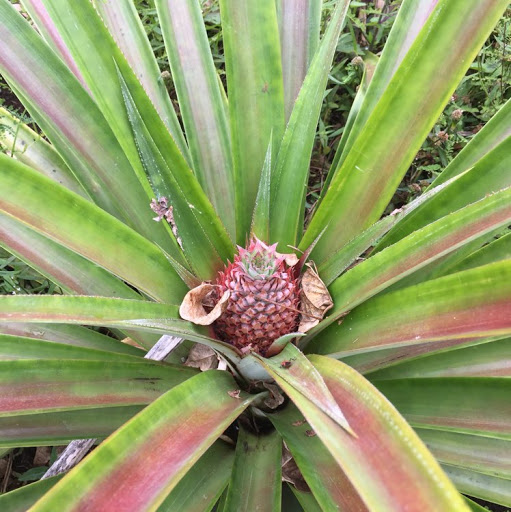 Valerie Ellis Photo 39