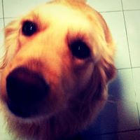 Jeffrey Liang Photo 17