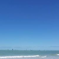 Teresa Gillis Photo 8