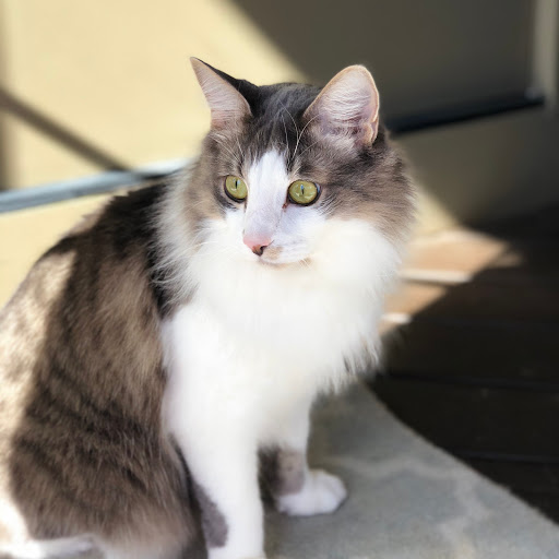 Danielle Miles Photo 35