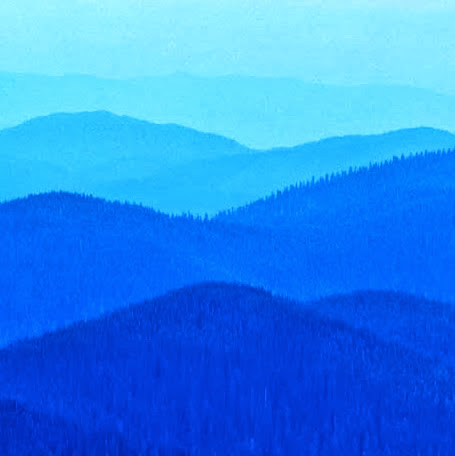 Regina Guzman Photo 19