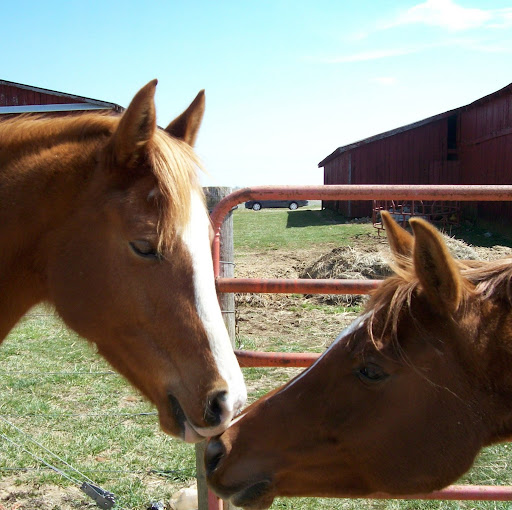 Julie Smart Photo 17