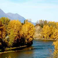 Debra Haywood Photo 23