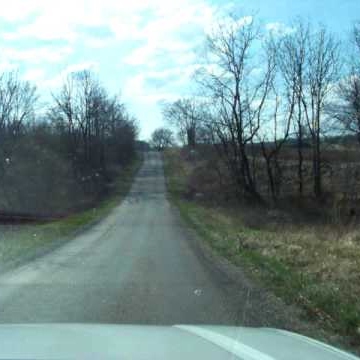 Nancy Simms Photo 23