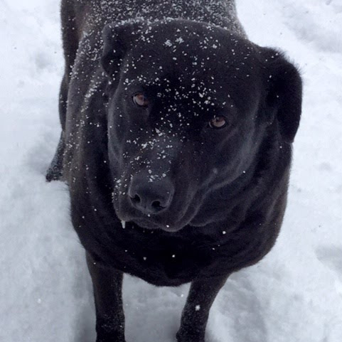 Julie Callaghan Photo 23