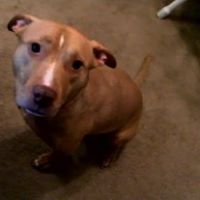 Nancy Mayes Photo 10