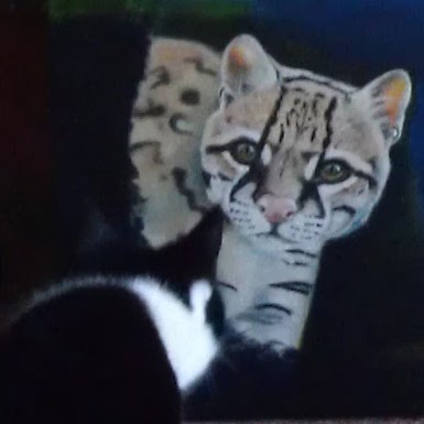 Julie Haines Photo 10