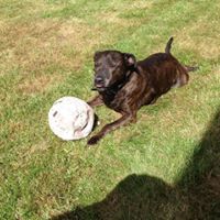 Mark Rawlings Photo 36