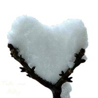 Stephanie Raby Photo 14