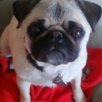 Brenda Pollock Photo 21