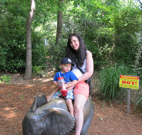 Susan Cassidy Photo 23