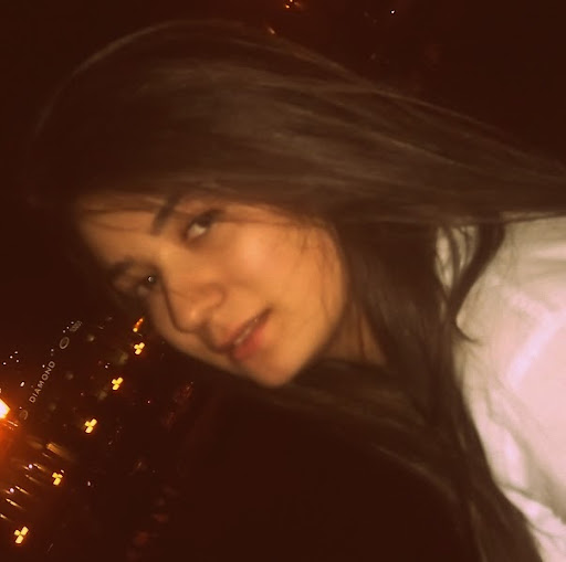 Ani Karapetyan Photo 22