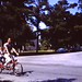 Norman Houston Photo 8