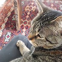 Ruth Barrick Photo 2