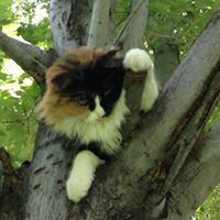 Cindy Whitehead Photo 33 Cindy Whitehead Photo 33