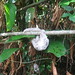 Arlene Wilder Photo 12