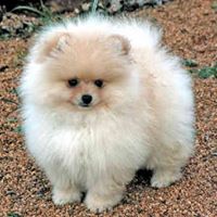 Shelly Sweat Photo 16