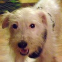 Reggie Jordan Photo 19