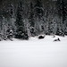 Matthew Ranson Photo 9