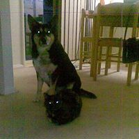 Angela Carlisle Photo 28