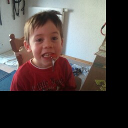 Harry Bauer Photo 19 Harry Bauer Photo 19