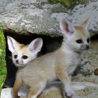 Cheryl Kincaid Photo 7